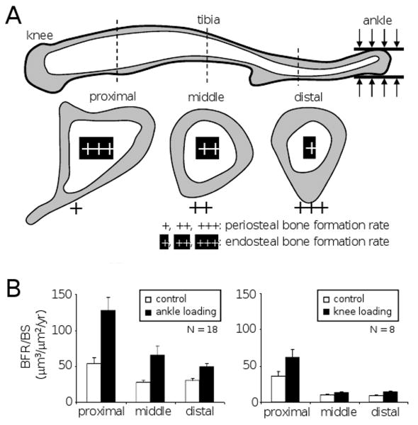 FIG. 8