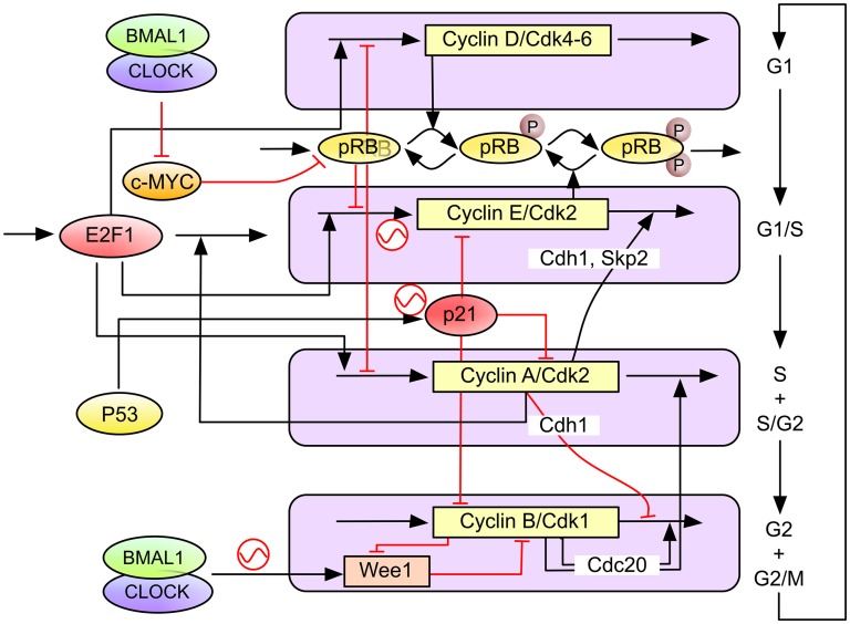 Fig. 4.