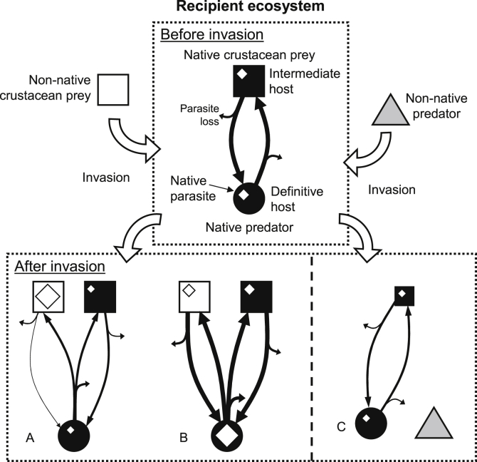 Fig. 2