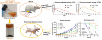 Image, graphical abstract