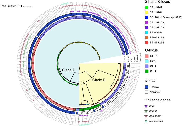 FIG 3