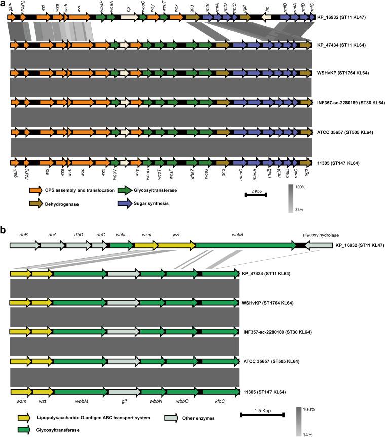 FIG 1