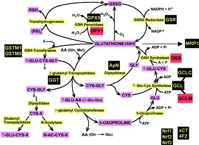 Figure  1. 