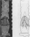 91