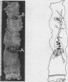 93