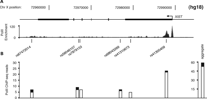 Figure 3.