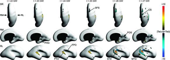 Figure 11.