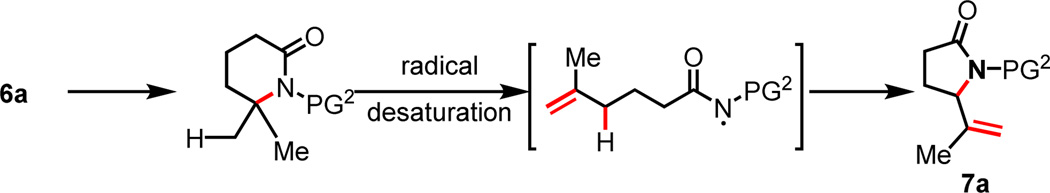 Scheme 4