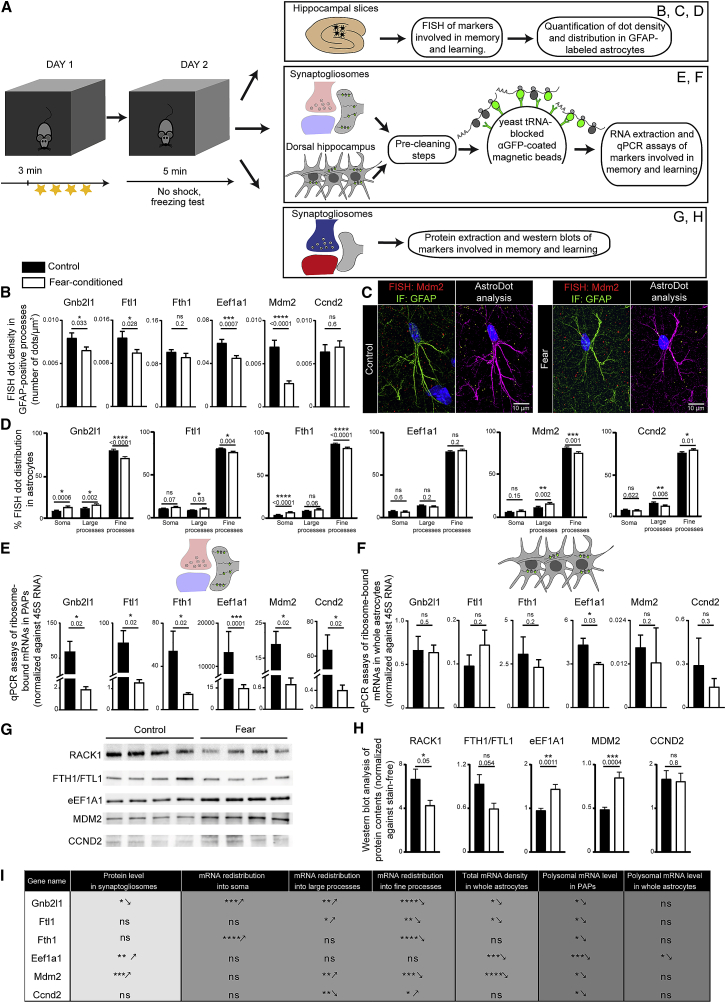 Figure 6