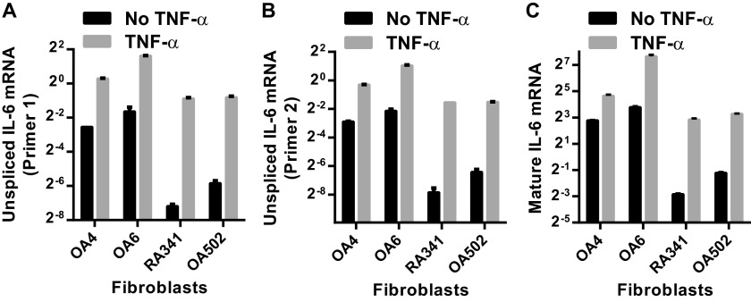 Fig. S3.