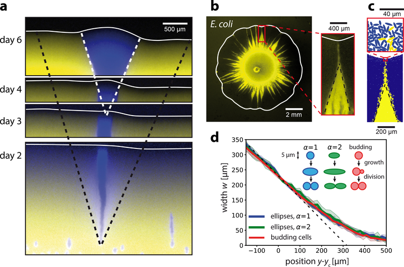 Figure 5: