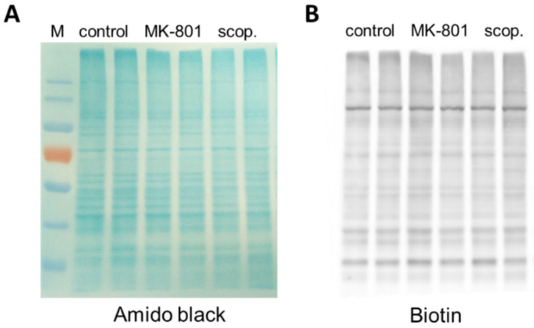 Figure 19