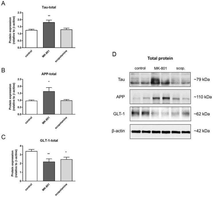 Figure 20