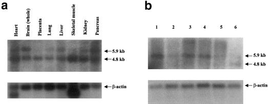 Figure  3