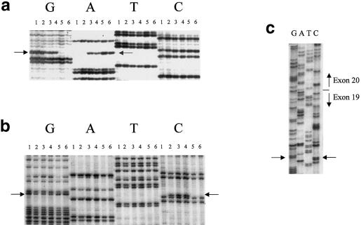 Figure  2