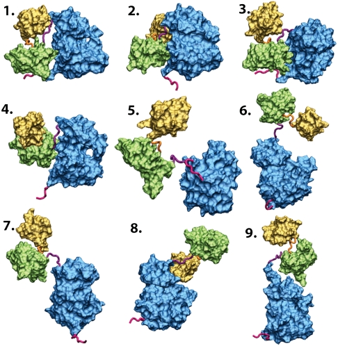 Fig. 1.