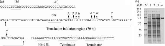 FIG. 3.