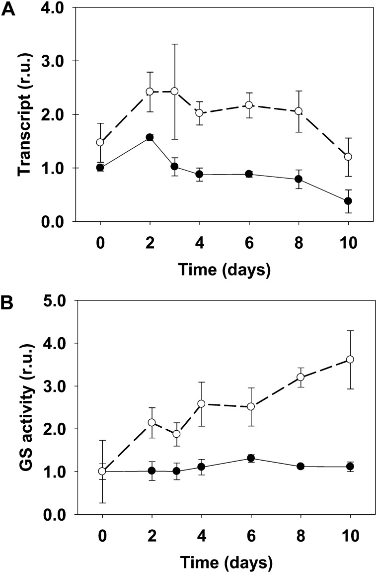 Figure 7.