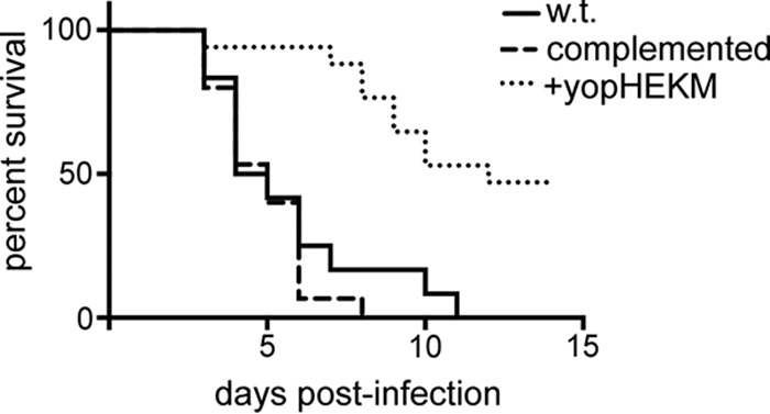 FIG 1