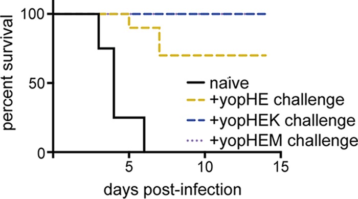 FIG 2