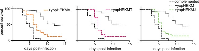 FIG 3