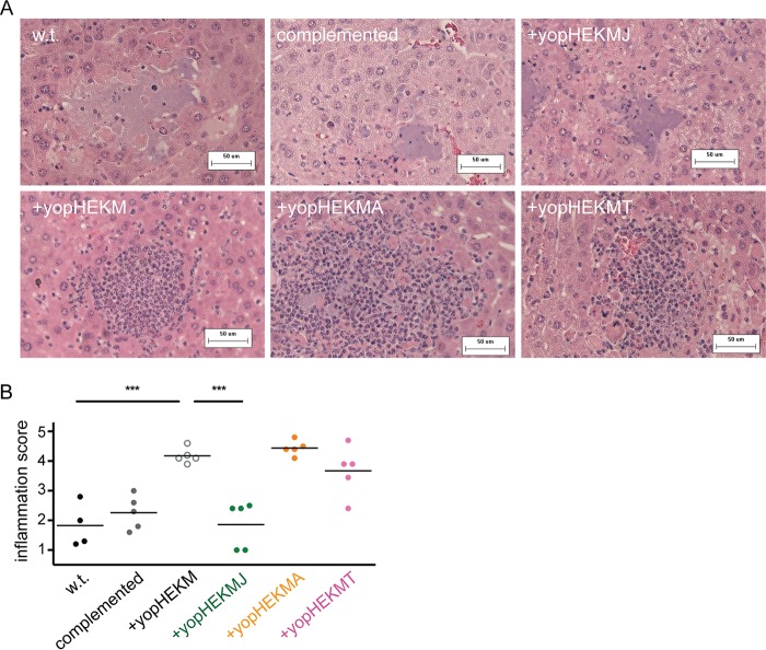 FIG 4