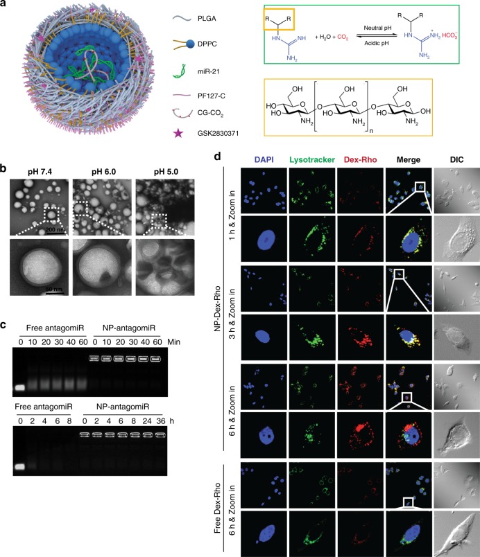 Fig. 7