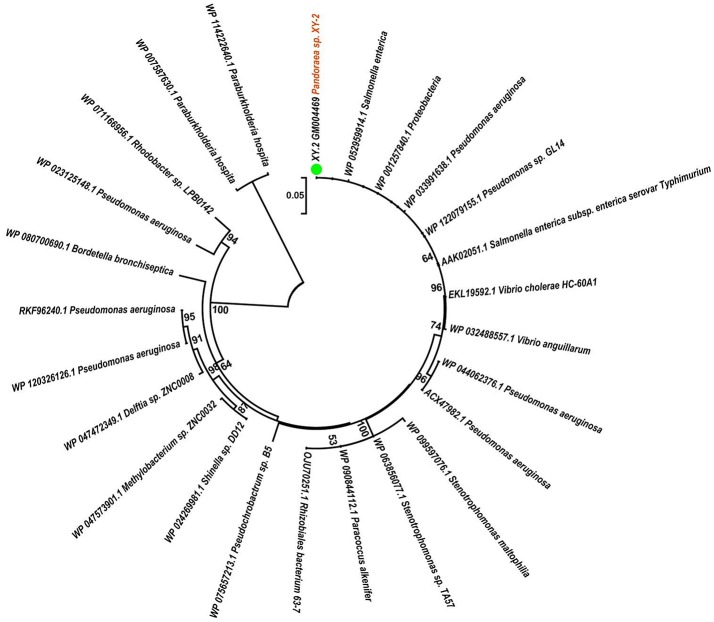 Figure 11