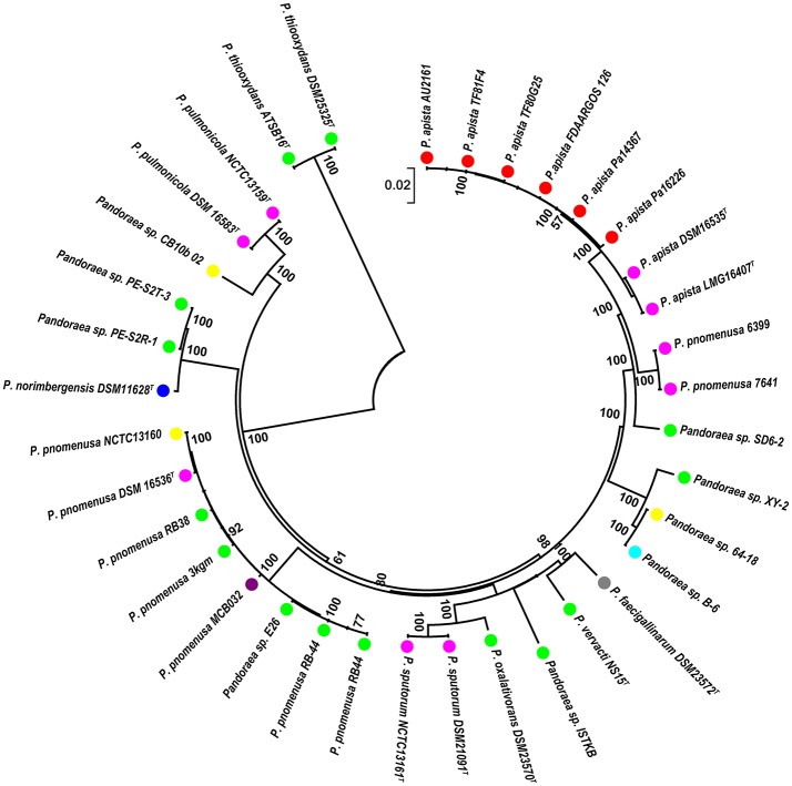 Figure 5