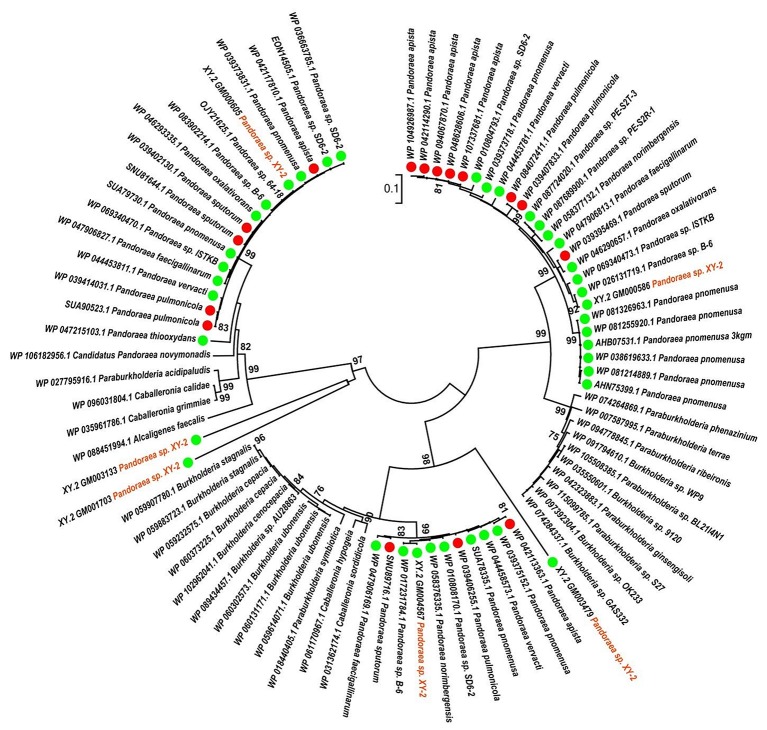 Figure 10