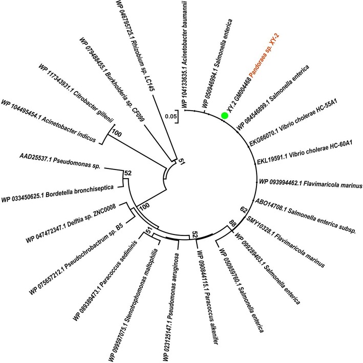 Figure 12