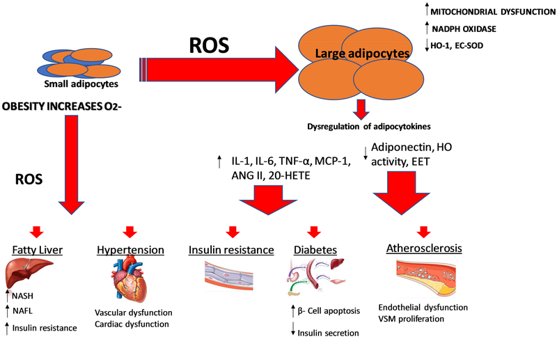 Figure 3: