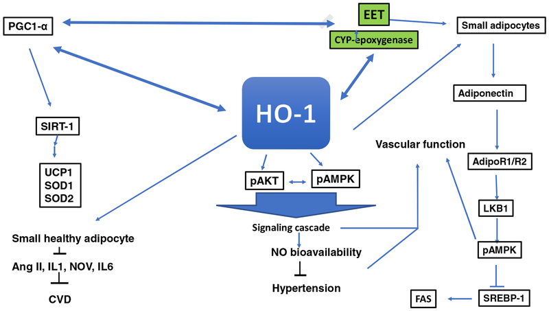 Figure 7: