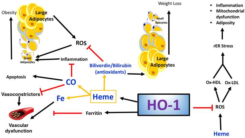 Figure 5: