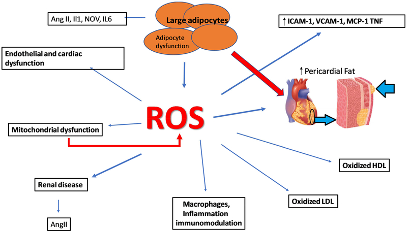 Figure 9: