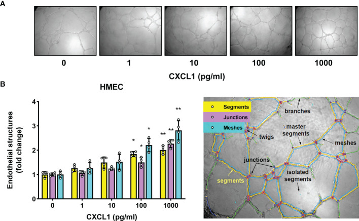 Figure 3