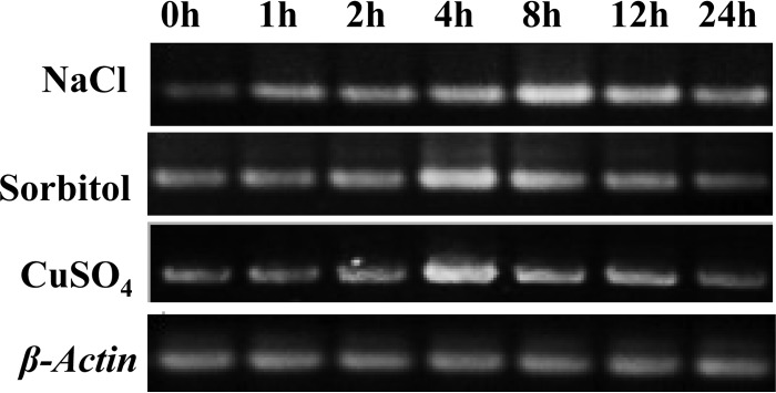 FIG 3