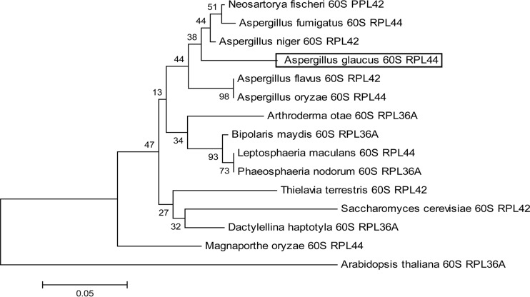 FIG 1