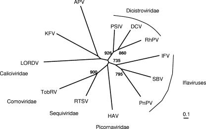 FIG. 8.