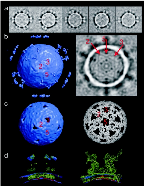 FIG. 4.