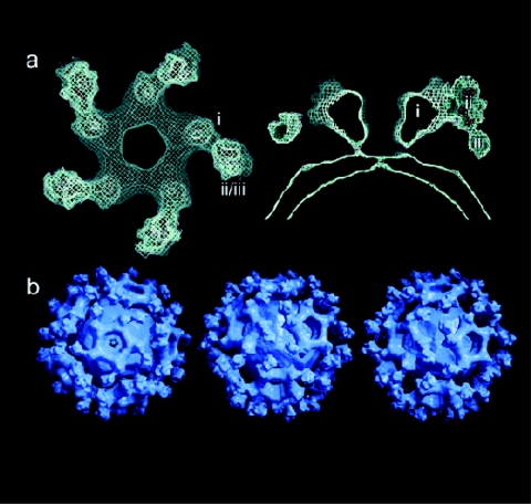 FIG. 7.