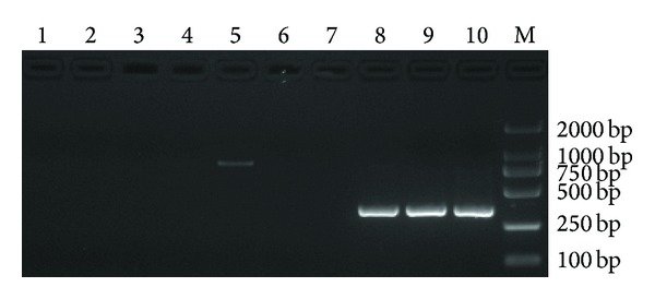 Figure 5