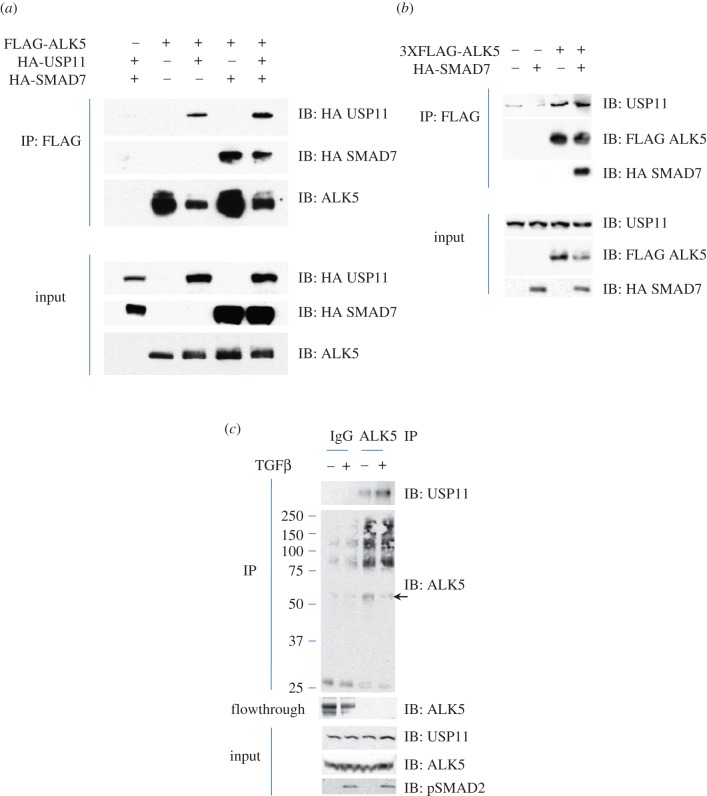 Figure 4.