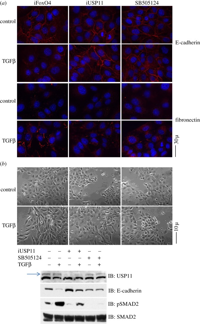 Figure 6.