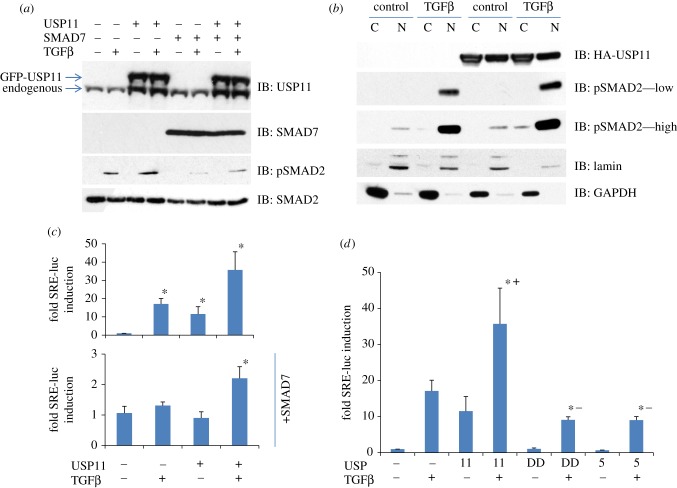 Figure 2.