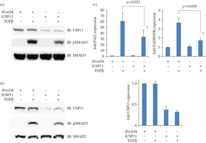 Figure 3.