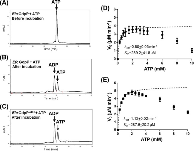 FIG 6