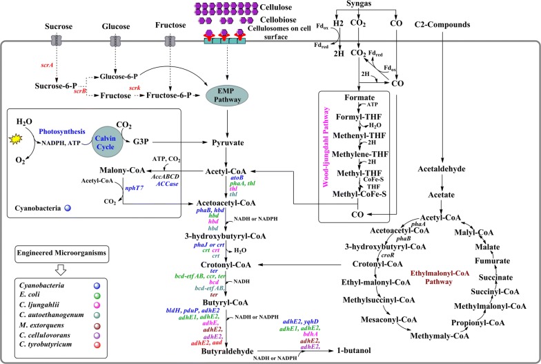 Fig. 3