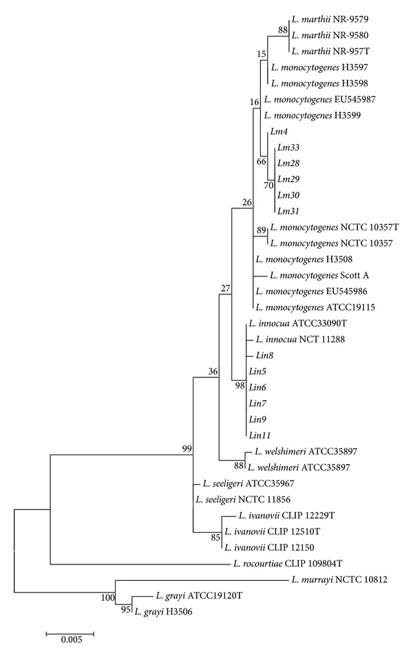 Figure 4