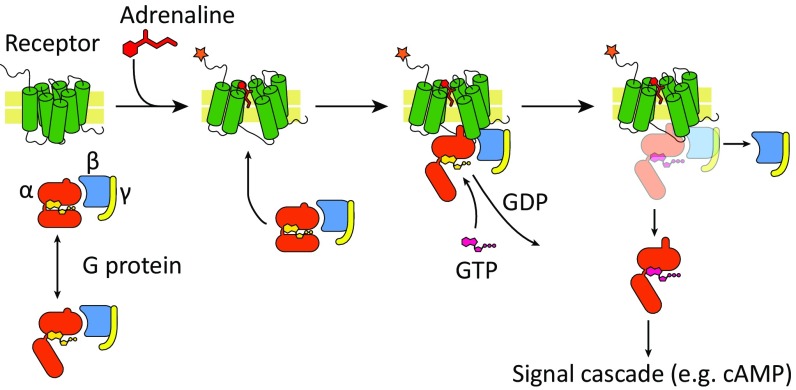 Fig. 1.